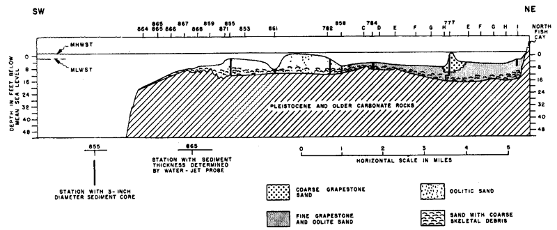 Cross section.  Base is Pleistocene and older carbonate rocks; above that is sand with coarse skeletal debris; above that is Oolitic sand to SW and Fine grapestone and oolite sand to NE