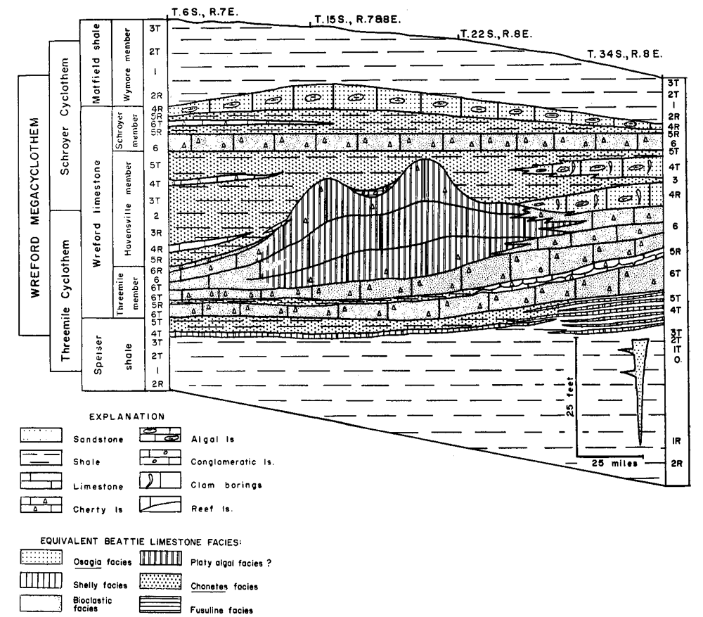 Generalized cross section of Beattie LS from Oklahoma to Nebraska showing chaging facies.
