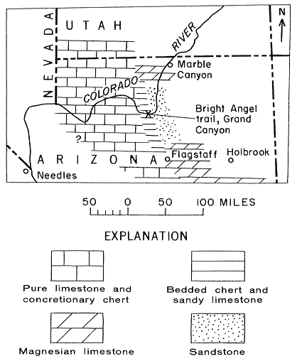 Kaibab in western Arizona dominated by pure limestone and concretionary chert; towards east is sandstone and magnesian limestone