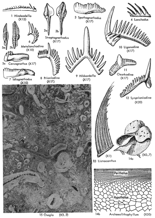 black and white drawings of several figures