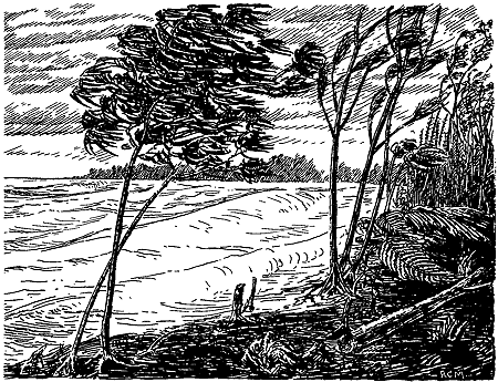 Pen-and-ink drawing, coastline with moderate waves, standing and fallen trees.