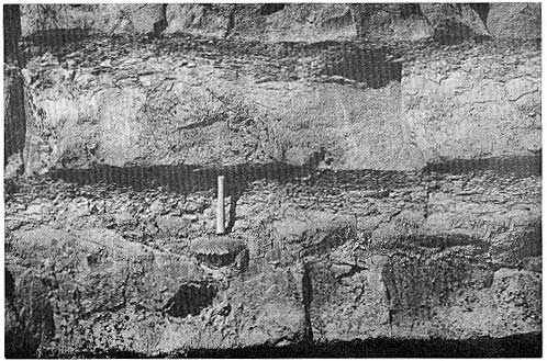 black and white photo of outcrop, rock hammer for scale, outcrop about 5 feet high, resistant beds 2 feet high