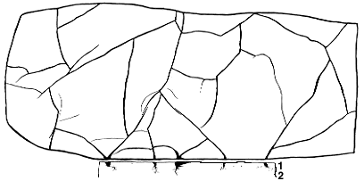 drawing of sample showing pattern of shrinkage cracks; small cross section