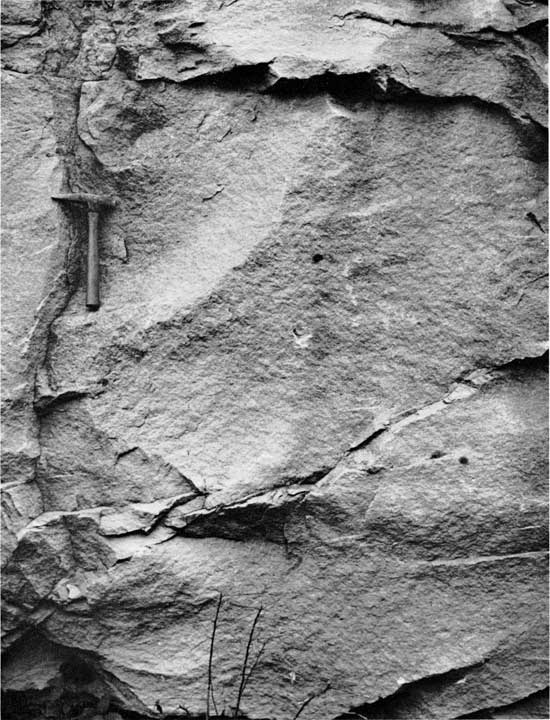 Black and white photo of sandstone outcrop, rock hammer for scale.