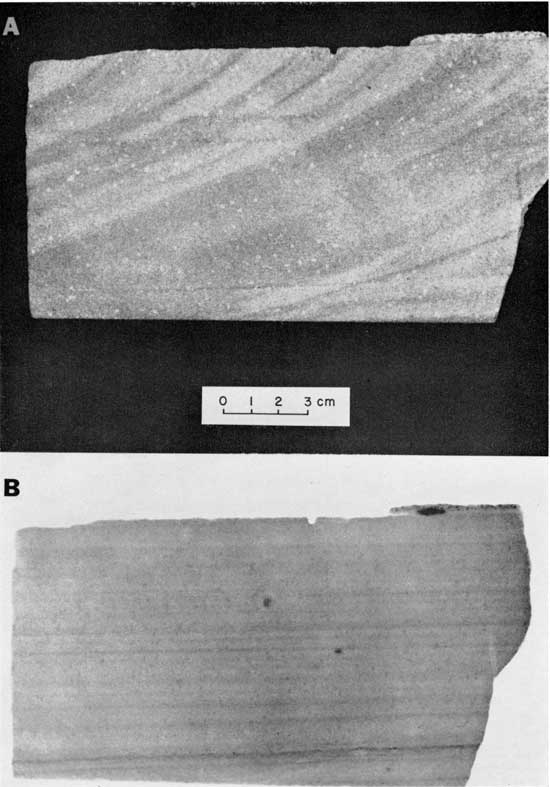 Black and white photo and radiograph, Navajo Sandstone, showing comparison of visible light and x-ray image.