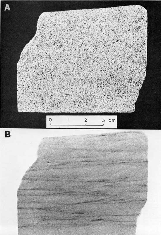 Black and white photo and radiograph, Tonganoxie Sandstone, showing large difference between visible light and x-ray image.