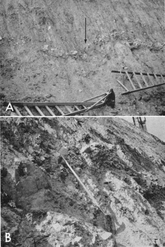 Two black and white photos showing features in excavation.