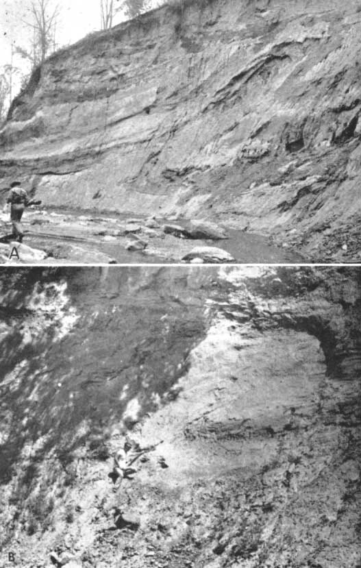 Black and white photos; stream bank is very steeply eroded; people for scale.