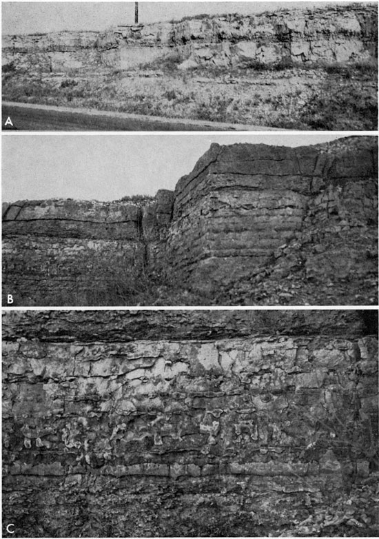 Three black and white photos; top is of Winfield Limestone, middle is of Florence Limestone, bottom is of Florence Limestone.
