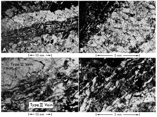 Four photomicrographs.