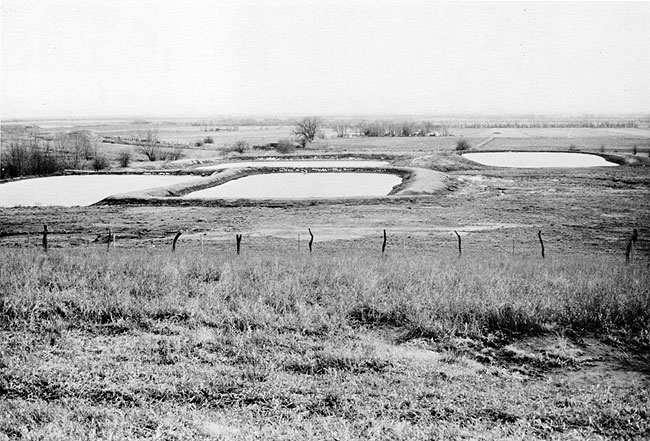 Photo of several small lagoons, each a rounded rectangle with dirt slopes.