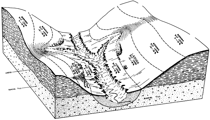 Block diagram shows stream cutting through soils above loess and till.