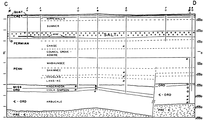 Cross section made from 9 wells; salt thickness and depth consistent; fault in Precambrian near well 7.