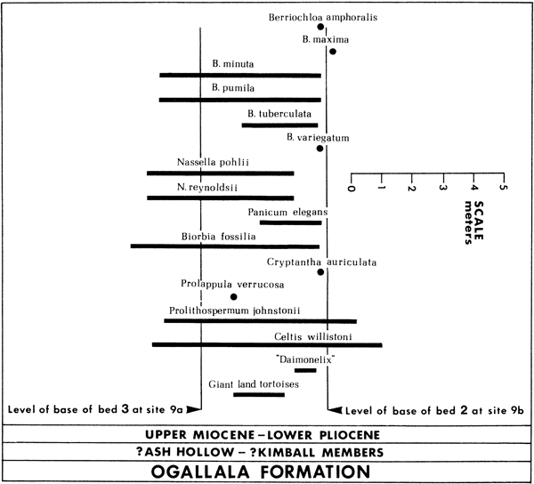 Chart shows fossils found in parts of Ogallala Fm, Ash Hollow and Kimball Mbrs.