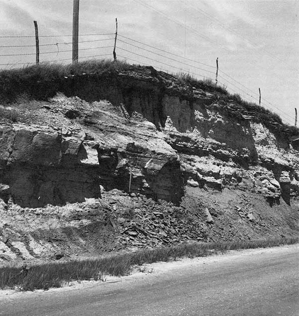 Black and white photo of almost vertical road cut; blocky resistant unit in middle with erodable units above and below; resistant siltstone capping road cut.