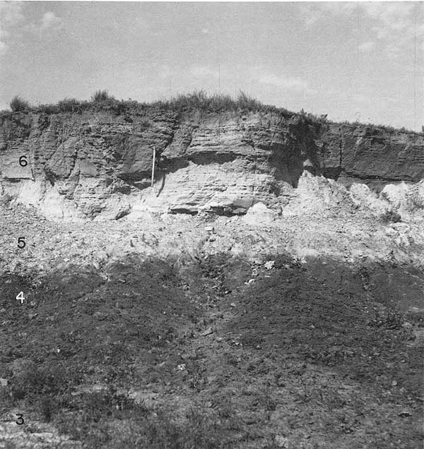 Black and white photo of almost vertical outcrop of siltstone above gentle slope of eroded material.