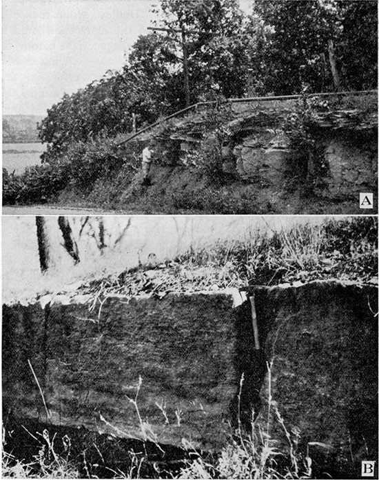 Black and white photos; top photo is of worker standing by outcrop of Drum Ls; lower photo is closeup of Drum Ls with rock hammer for scale.