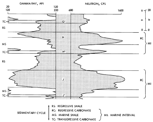 Regressive carbonates have high neutron values; marine shales have very high gamma ray values.