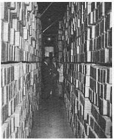 cuttings are stored in long narrow boxes stored on 12-foot high shelves