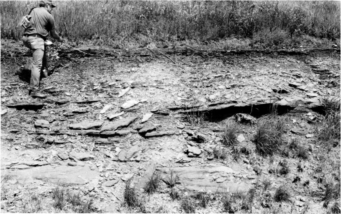 Base of the Lorton coal bed at its principal reference section in Lyon County.