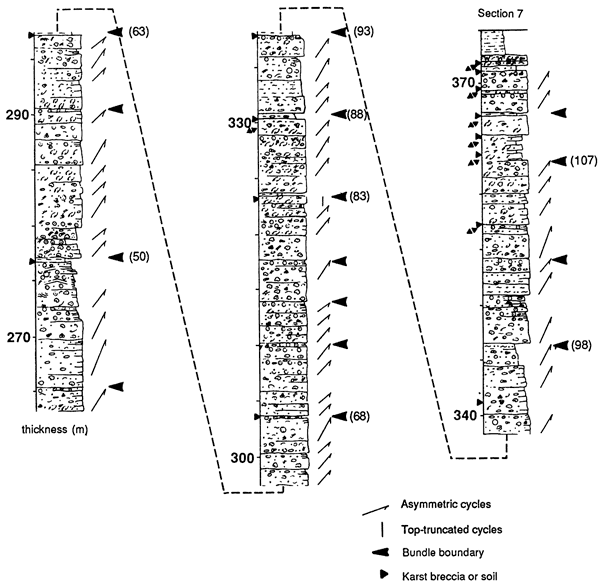 Stratigraphic chart from 265 to 375 meters showing lithology, grain types, and fossils seen.