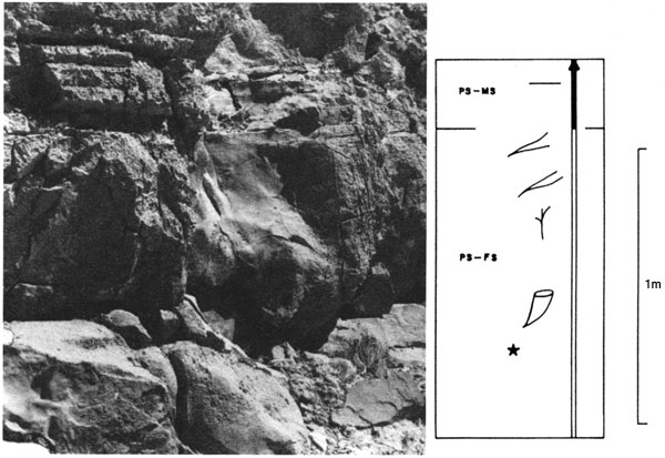 Black and white photo of outcrop with drawing of features found in cycle; cycle about 1 meter in height.