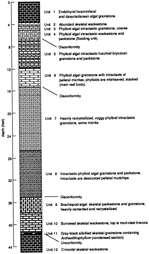 Stratigraphic section, Ismay zone of Hermosa Formation.