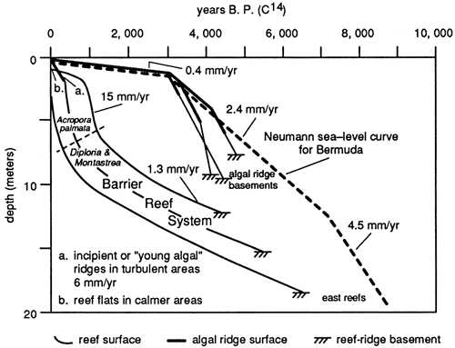 Time-depth sea-level curve.