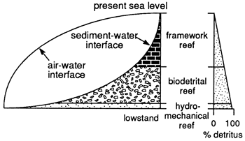 Schematic comparing reef type and sea level.