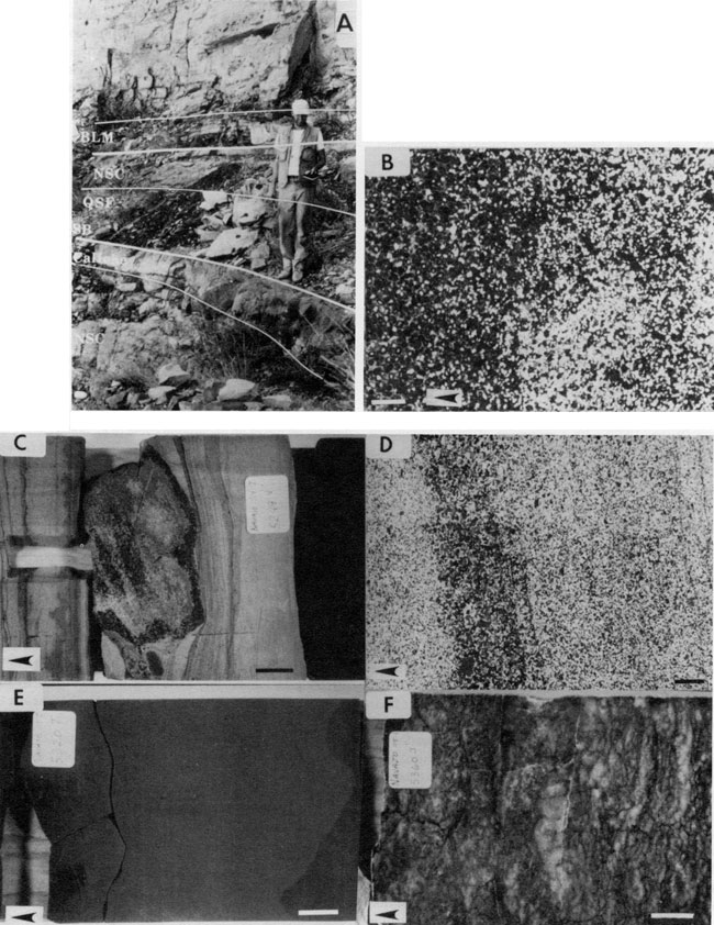 Six black and white photos; five are photomicrographs; one is of an outcrop.