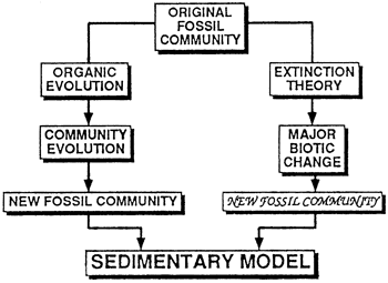 From the original Fossil Community, there are two paths: organic community evolution or extinction events leading to major biotic change.