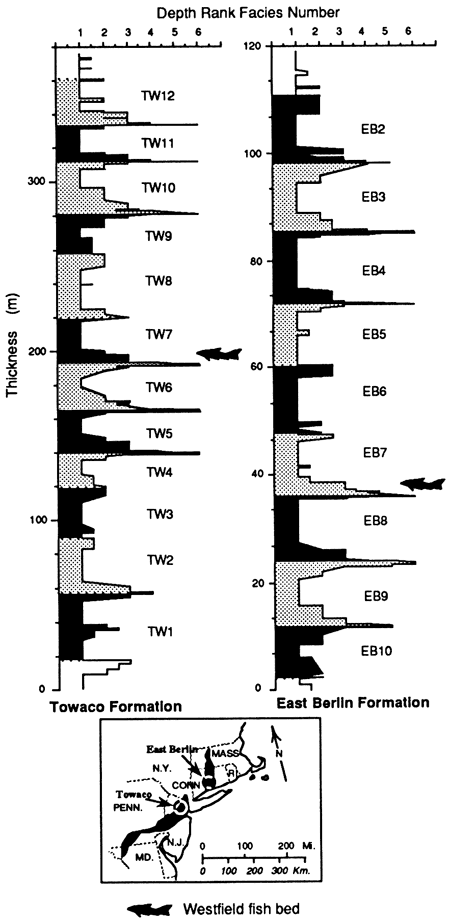 Stratigraphic sections for the Towaco and East Berlin Formations.