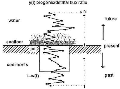 Model of bioturbation.