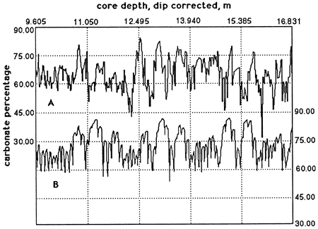 Comaprison of calcium carbonate percentage of core segment and model.