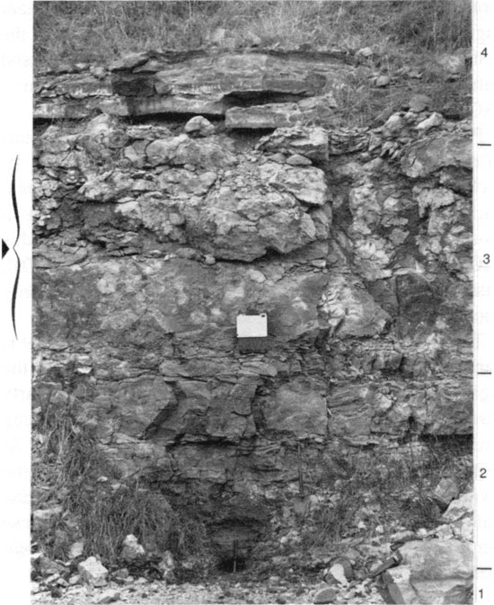 Black and white photo of quarry face; from top, Labette Sh, Houx-Higginsville Ls, and Little Osage Sh (marked by rock hammer).