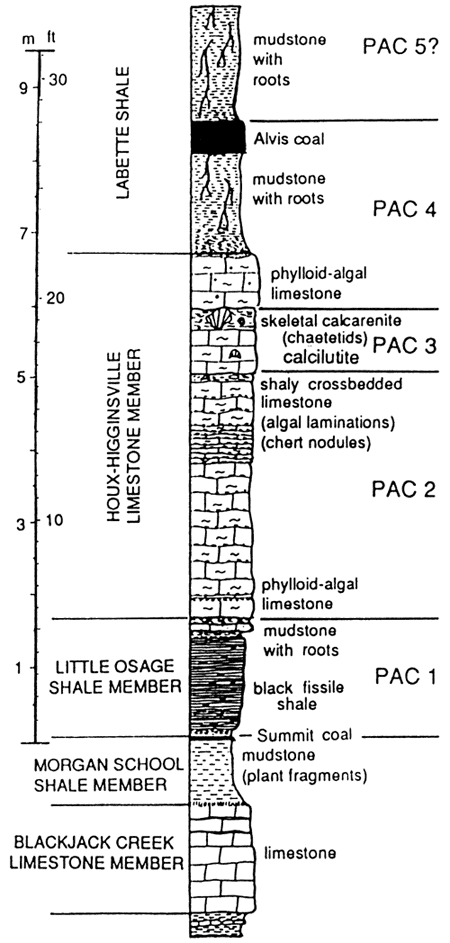 Stratigraphic column; from top, Labette Sh, Houx-Higginsville Ls, Little Osage Sh, Morgan School Sh, Blackjack Creek Ls.