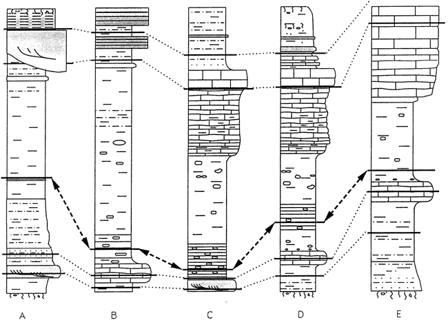 Five stratigraphic columns with correlations.