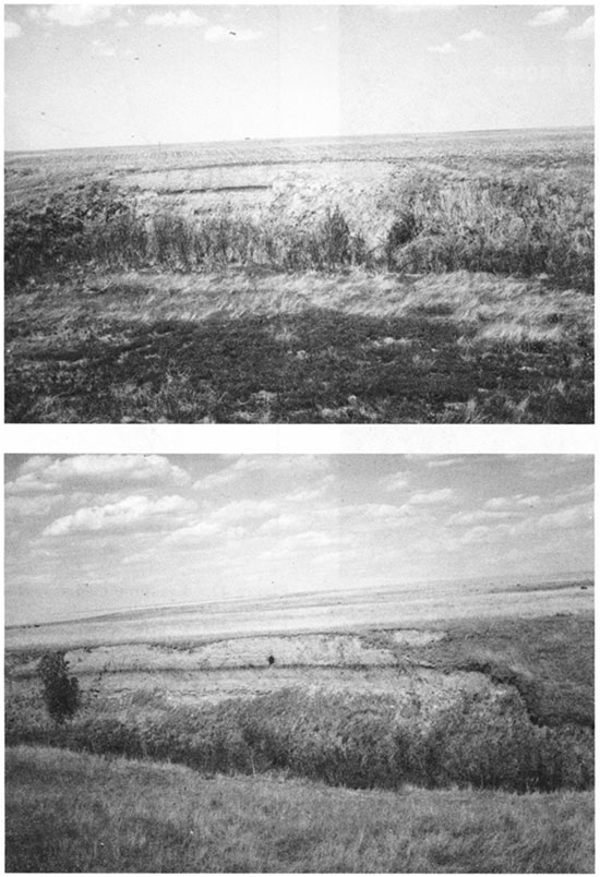 Black and white photos of T-1 fill exposed in cutbanks at locality PR-8.