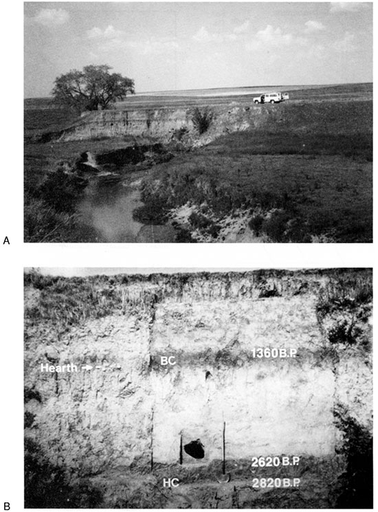 Black and white photos of section at site 14HO306 at locality BC-1.
