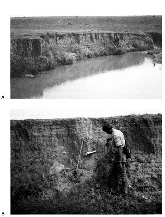 Black and white photos of Site 14HO315 at locality BC-1; cutbank exposure of T-0 fill and close-up of the cutbank showing bison bones.