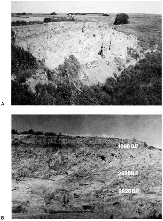 Black and white photos of site 14NS308 at locality HC-1.