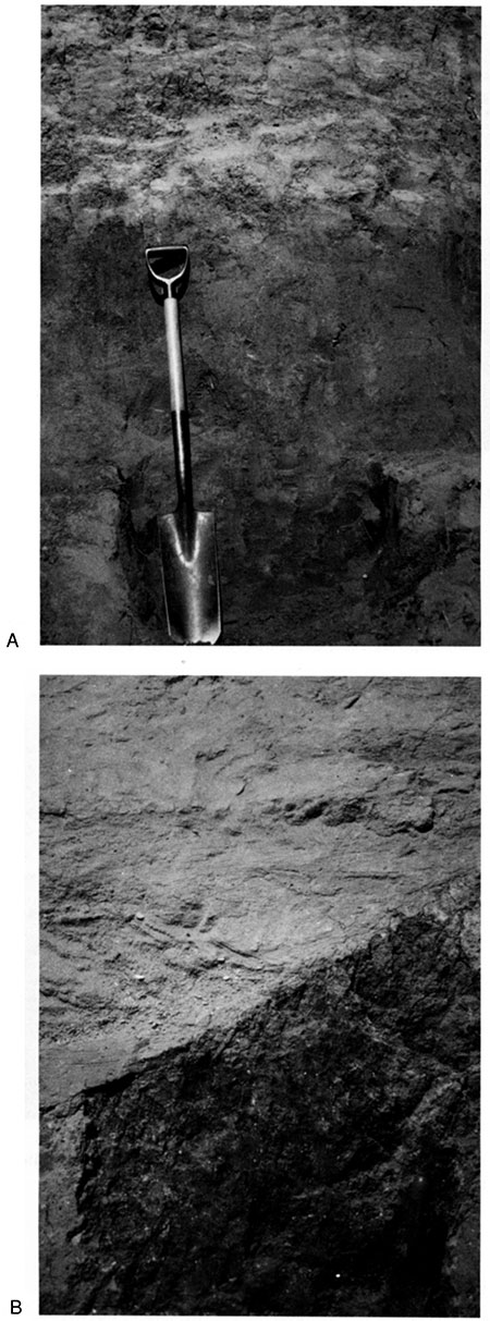Two black and white photos; top is Hackberry Creek paleosol exposed in section at site 14NS308; bottom is eroded surface of the Hackberry Creek paleosol.