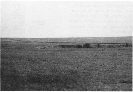 Black and white photo of Hackberry Creek valley at locality HC-2.