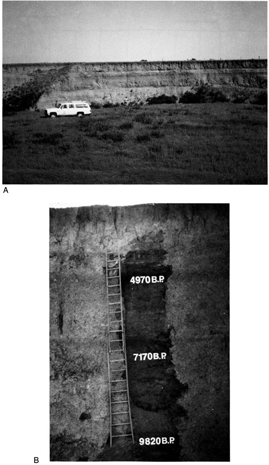 Black and white photos of section at site 14HO316.