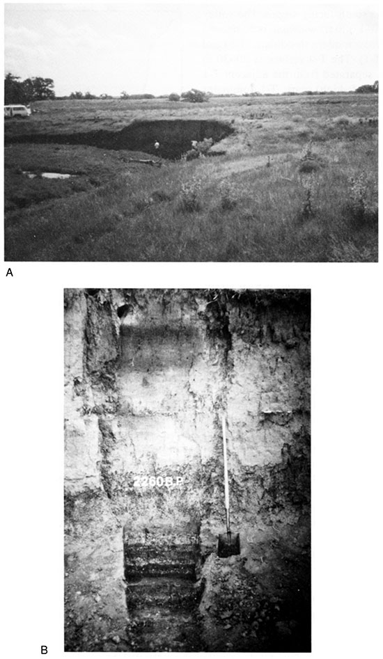 Black and white photos of section at site l4FD311.
