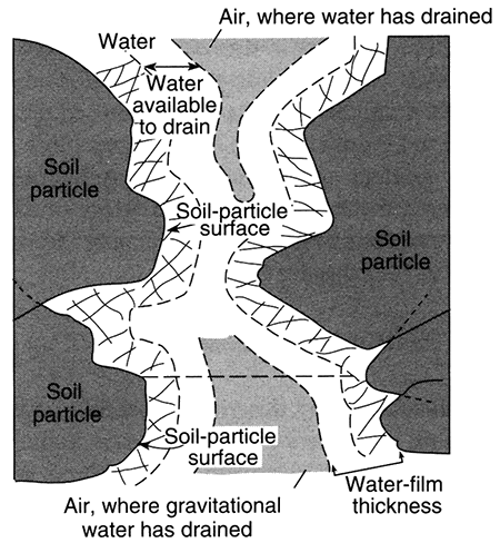 Cross section of a soil pore.