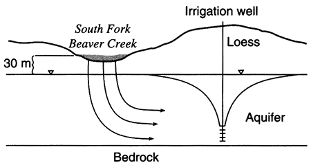 Sulfate for 1994 and 1975.