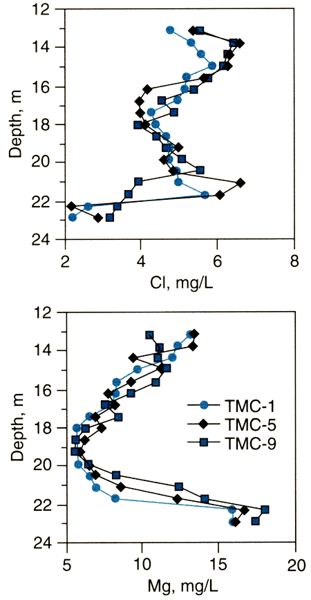 Chloride and Magnesium concentrations in Kansas River alluvium.