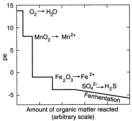 pe value vs. amount of organic matter reacted.