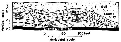 Croweburg coal overlain by steel gray shale, gray shale with yellow streaks, and black shale with small concretions.